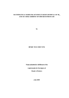 199244851.pdf